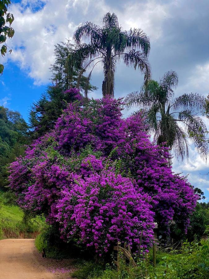 Canto Das Aguas Alagoa Exteriér fotografie